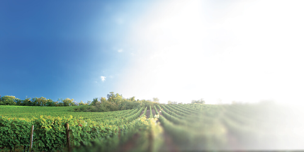 Agricole